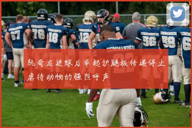 阮奇龙进球后举起护腿板传递停止虐待动物的强烈呼声
