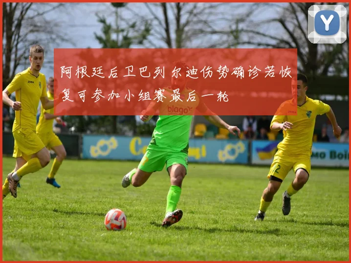 阿根廷后卫巴列尔迪伤势确诊若恢复可参加小组赛最后一轮